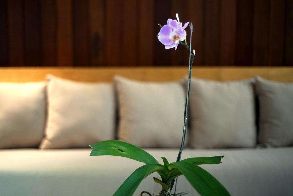 Bale Mandala Villas Senggigi Esterno foto